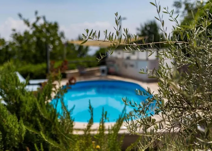 Apartament Studio Apartment